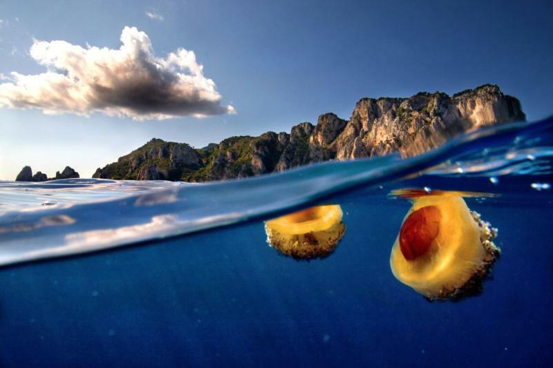 Villa Marina Piccola Ai Faraglioni กาปรี ภายนอก รูปภาพ