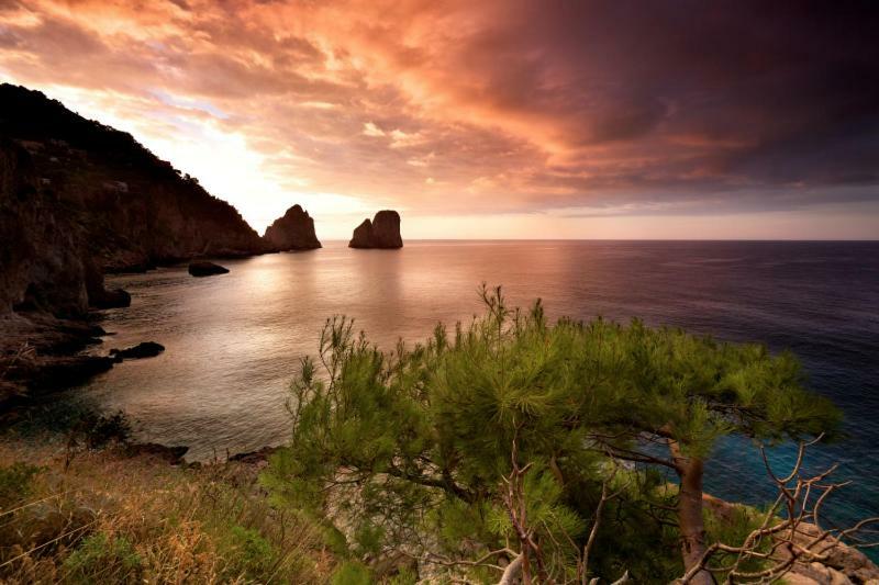 Villa Marina Piccola Ai Faraglioni กาปรี ภายนอก รูปภาพ